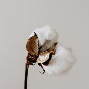 Slow Fashion | Quick Ethics